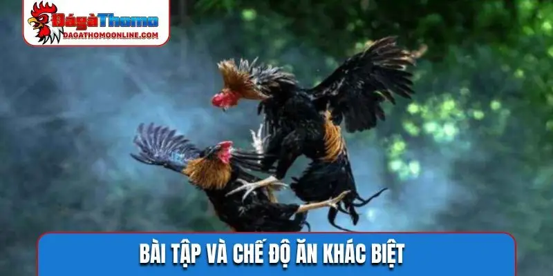 Bài tập và chế độ ăn khác biệt