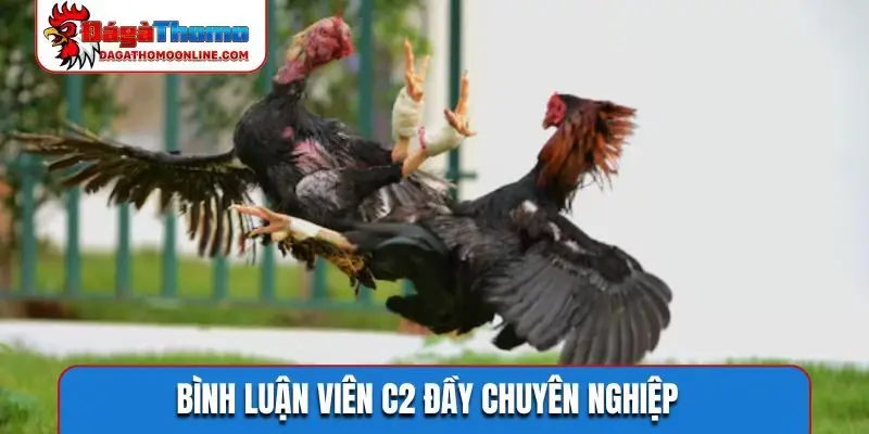Bình luận viên C2 đầy chuyên nghiệp