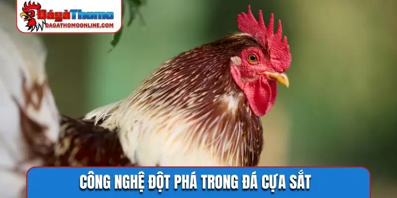 Công nghệ đột phá trong đá cựa sắt