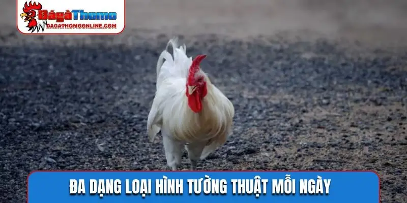Đa dạng loại hình tường thuật mỗi ngày