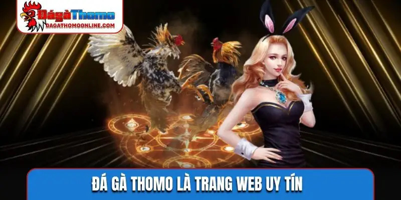 da ga thomo la trang web uy tin da ga thomo la trang web uy tin