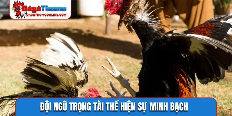 doi ngu trong tai the hien su minh bach Đội ngũ trọng tài thể hiện sự minh bạch