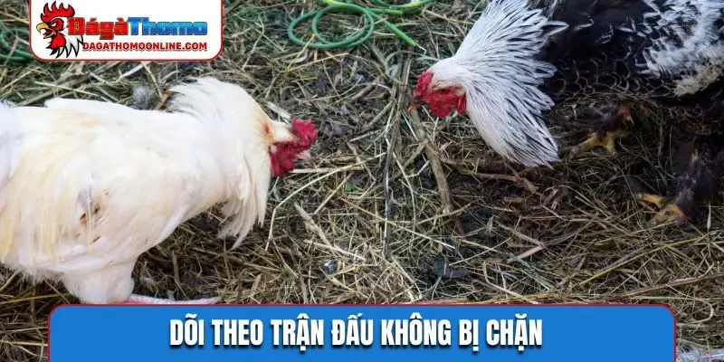 Dõi theo trận đấu không bị chặn