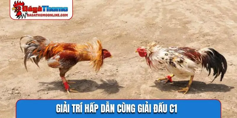 Giải trí hấp dẫn cùng giải đấu C1