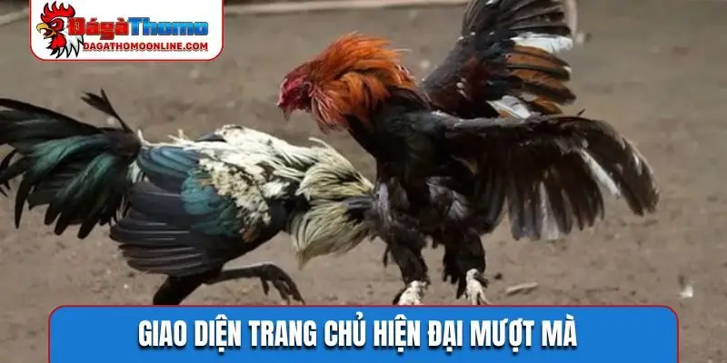 Giao diện trang chủ hiện đại mượt mà