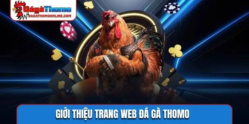 Giới thiệu trang web Đá Gà Thomo