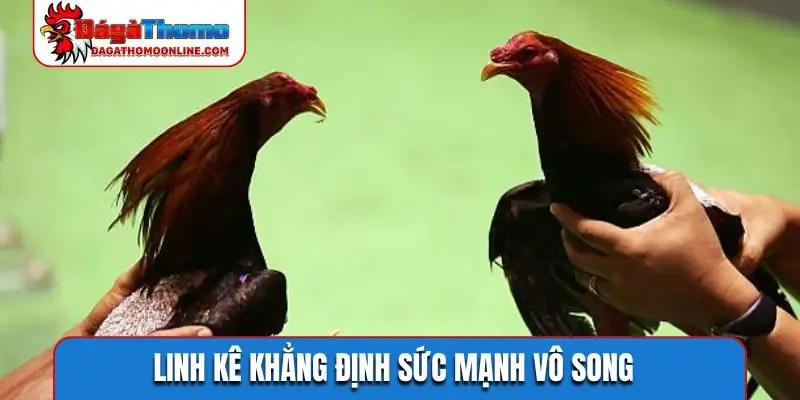 Linh kê khẳng định sức mạnh vô song