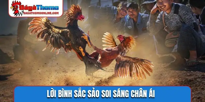 Lời bình sắc sảo soi sáng chân ái