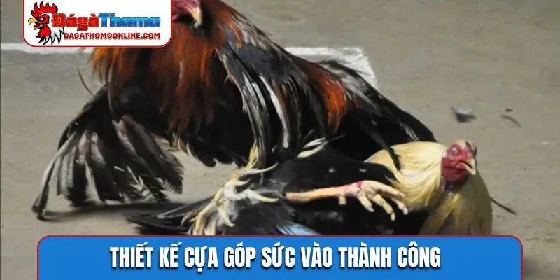 Thiết kế cựa góp sức vào thành công