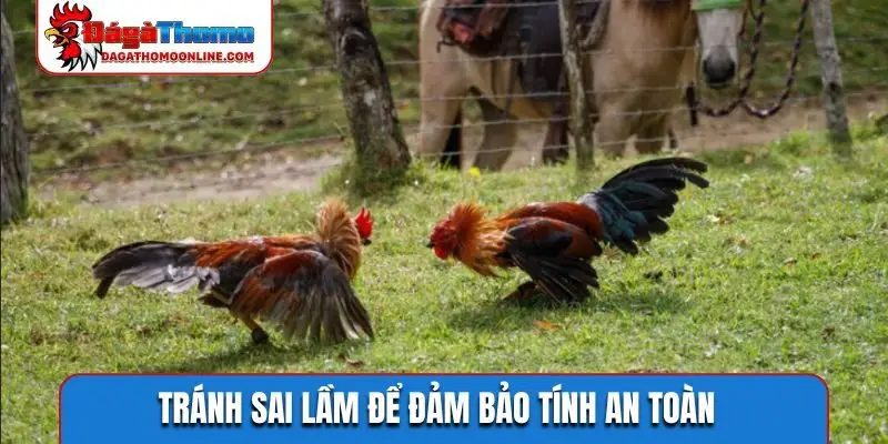 Tránh sai lầm để đảm bảo tính an toàn