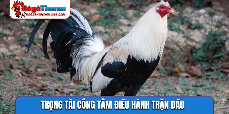 Trọng tài công tâm điều hành trận đấu