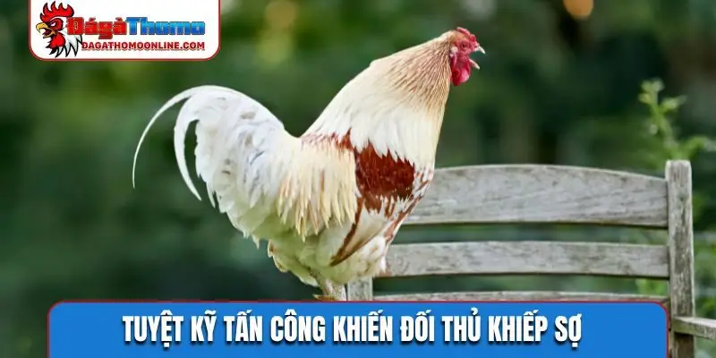 Tuyệt kỹ tấn công khiến đối thủ khiếp sợ