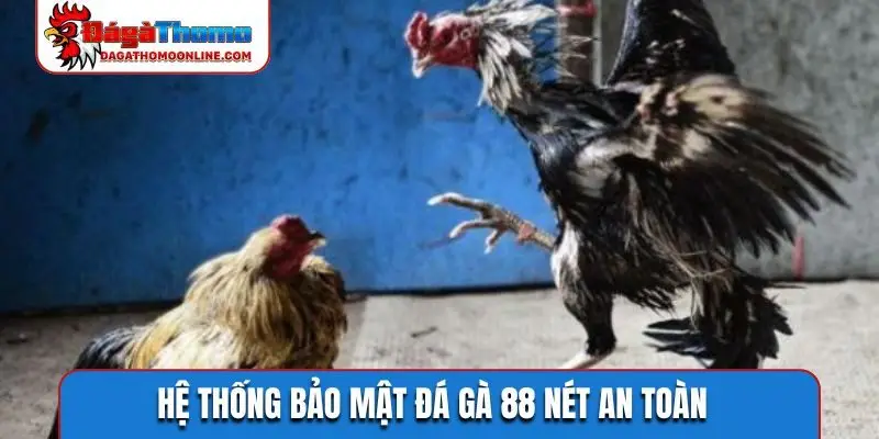 Hệ thống bảo mật đá gà 88 nét an toàn