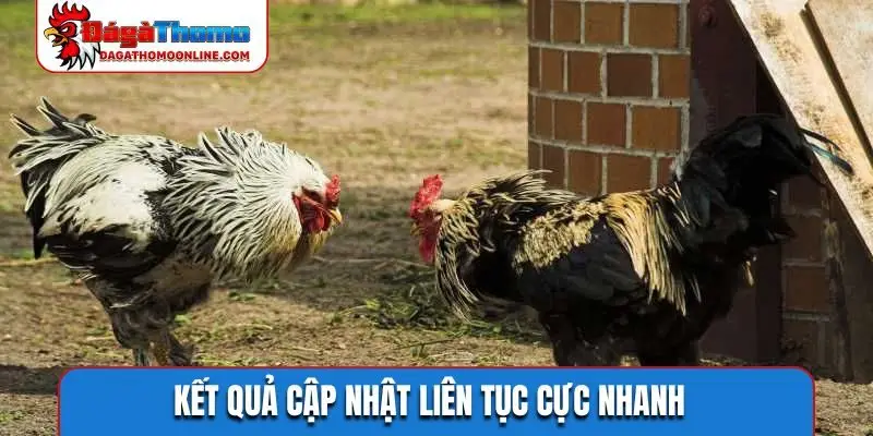 ket qua cap nhat lien tuc cuc nhanh Kết quả cập nhật liên tục cực nhanh