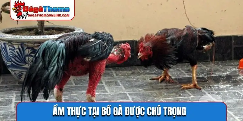 Ẩm thực tại bồ gà được chú trọng