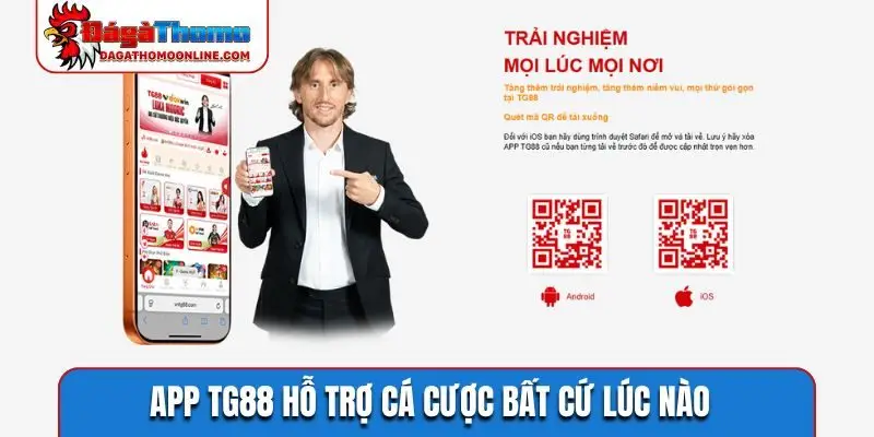 App TG88 hỗ trợ cá cược bất cứ lúc nào
