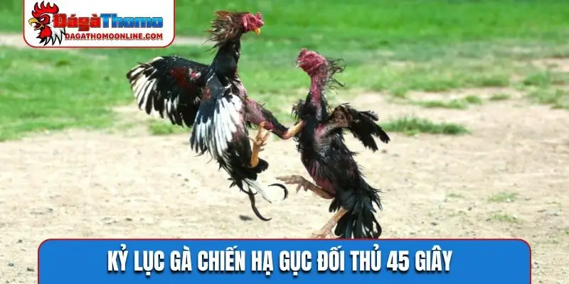 Công tác kiểm tra cựa sắt công bằng