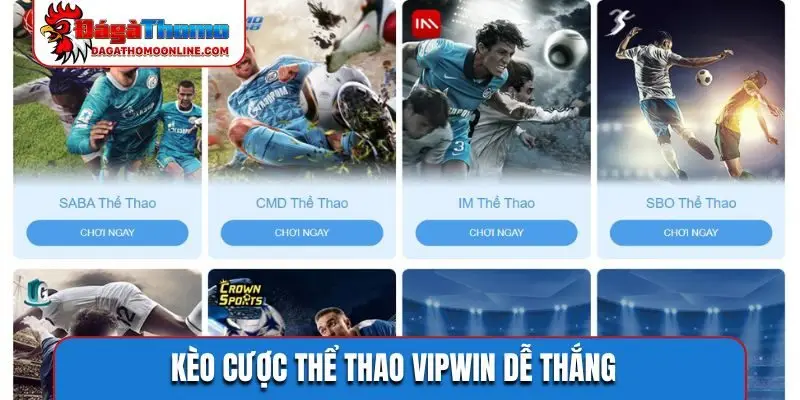 Kèo cược thể thao VIPWIN dễ thắng