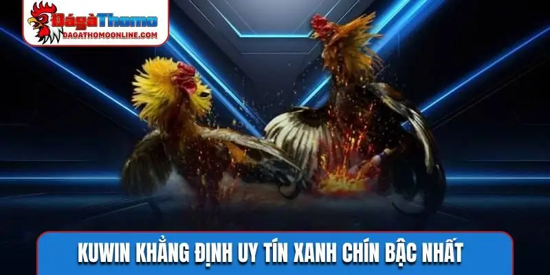 Người chơi KUWIN chia sẻ cảm nhận thực tế