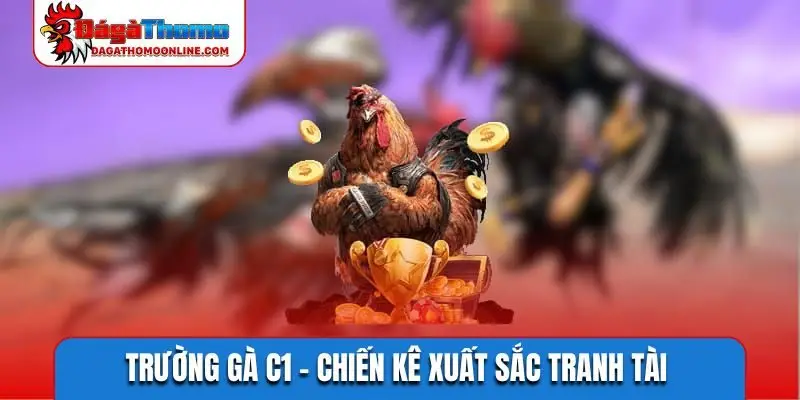 Trường gà C1